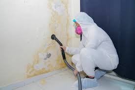 Best Mold Odor Removal Services  in Ashton, ID